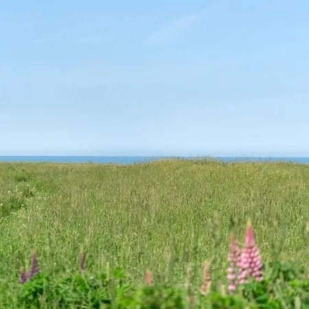 Ananda - 245m From The Sea By Interhome Hjørring